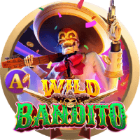Wild Đạo Tặc thumbnail